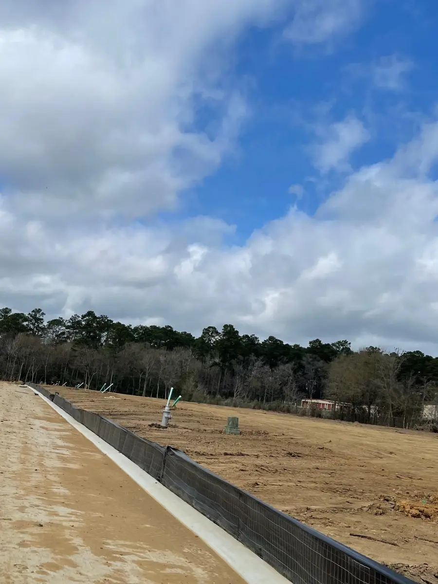 11651 Ruffian Drive, Willis, TX 77318 - Image #3