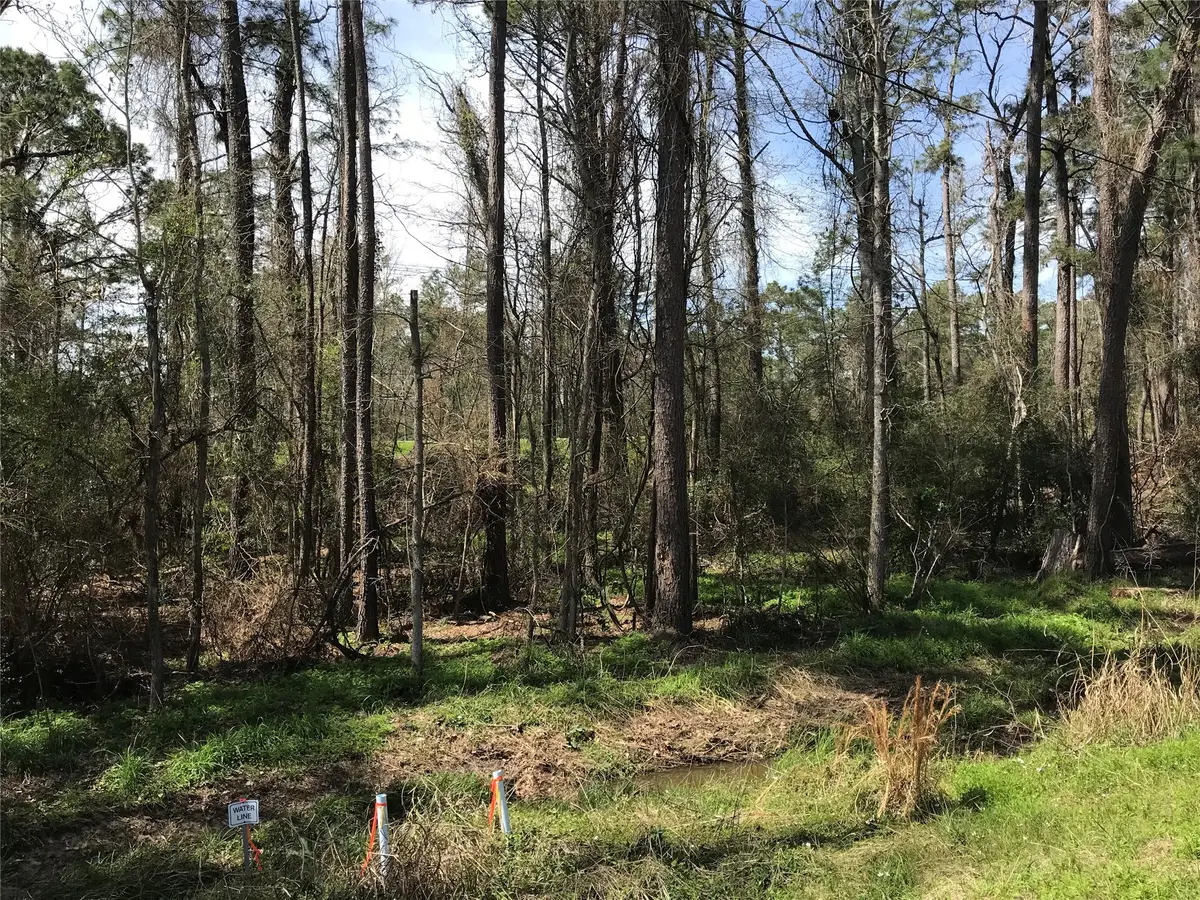 580 Parkview Drive, Onalaska, TX 77360 - #1