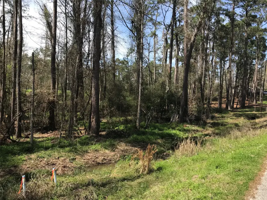 580 Parkview Drive, Onalaska, TX 77360 - #2