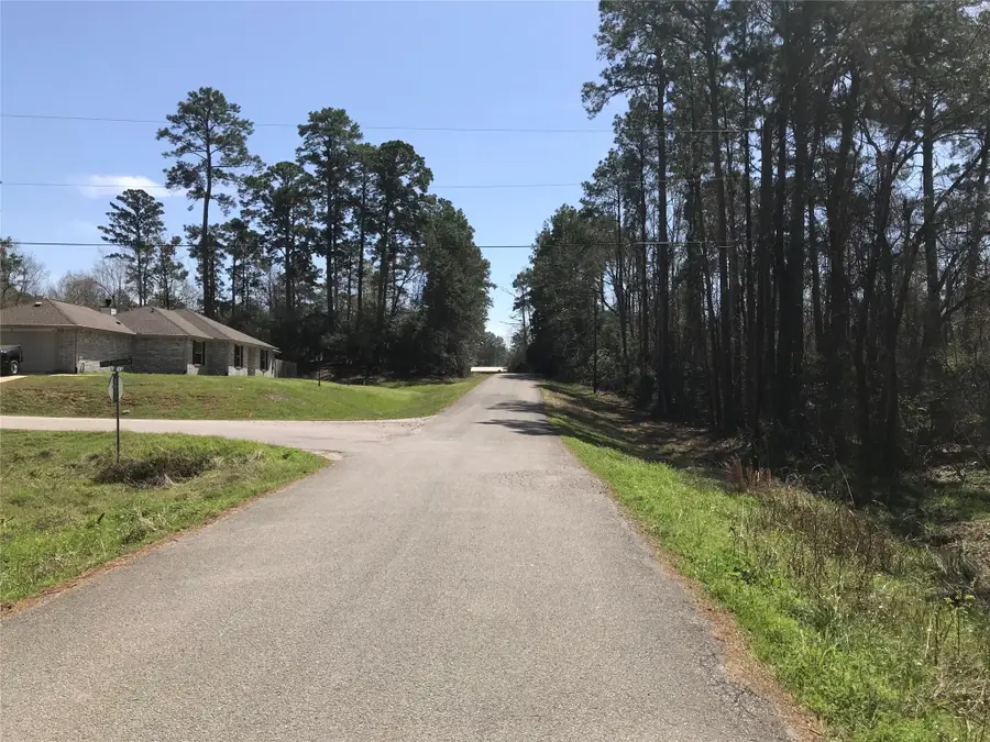 580 Parkview Drive, Onalaska, TX 77360 - #3