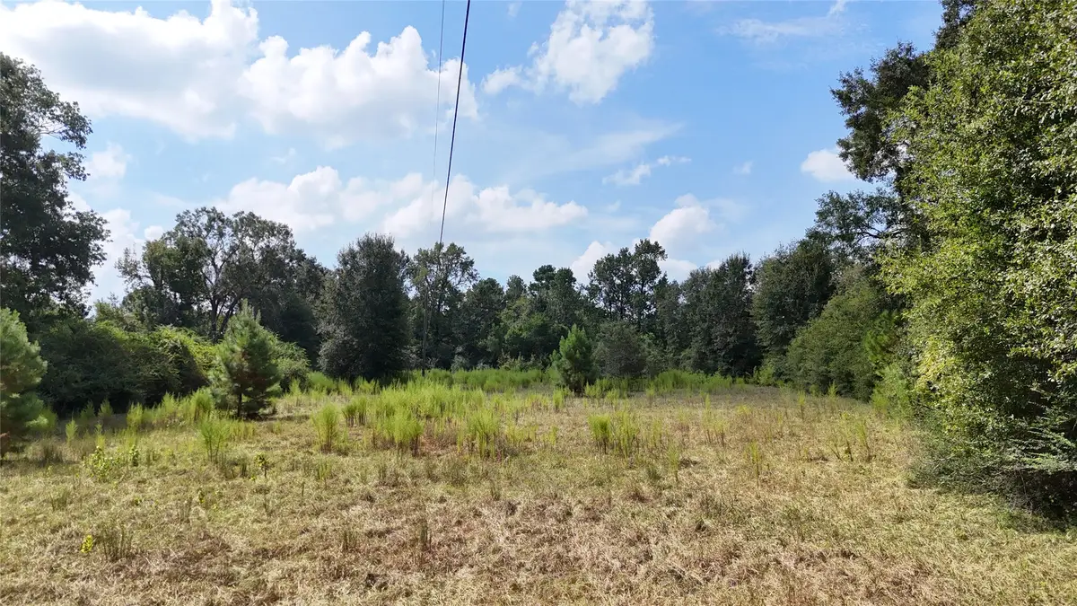 TBD Afton Lane, Livingston, TX 77351 - #1