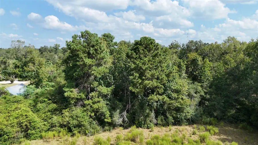 TBD Afton Lane, Livingston, TX 77351 - #3