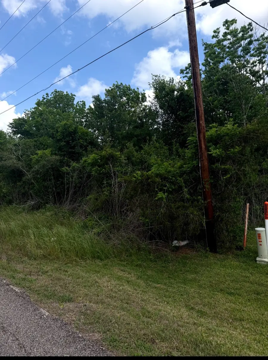 0 County Road 356, Brazoria, TX 77422 - #2