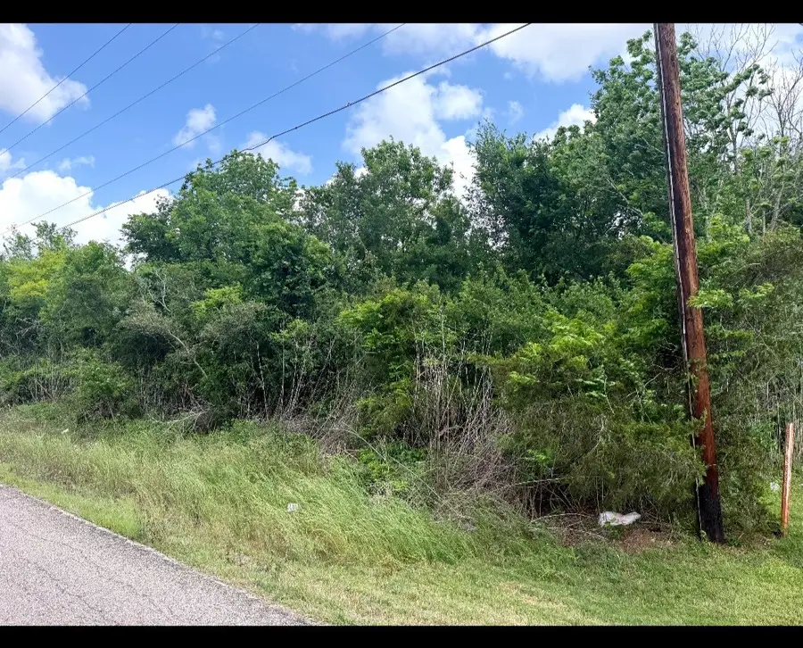 0 County Road 356, Brazoria, TX 77422 - #3
