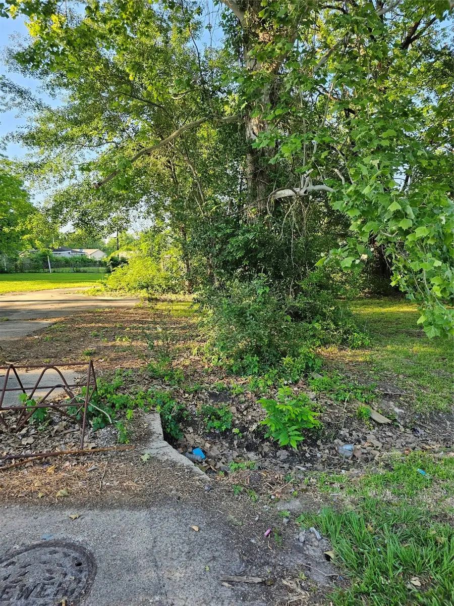 7423 Sundown Lot 163 Drive, Houston, TX 77028 - Image #2