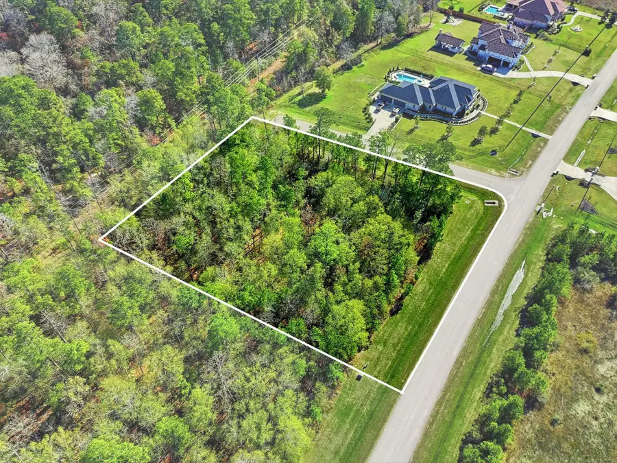 27560 S Lazy Meadow Way, Spring, TX 77386 - Image #2