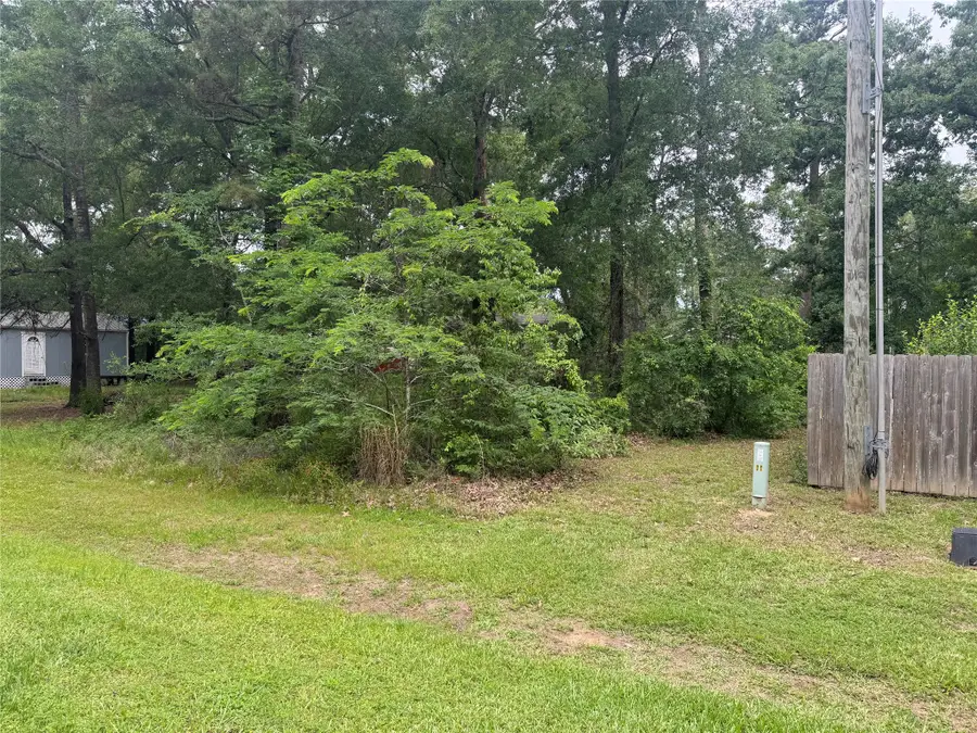 125 Trinidad Lane, Point Blank, TX 77364 - #2