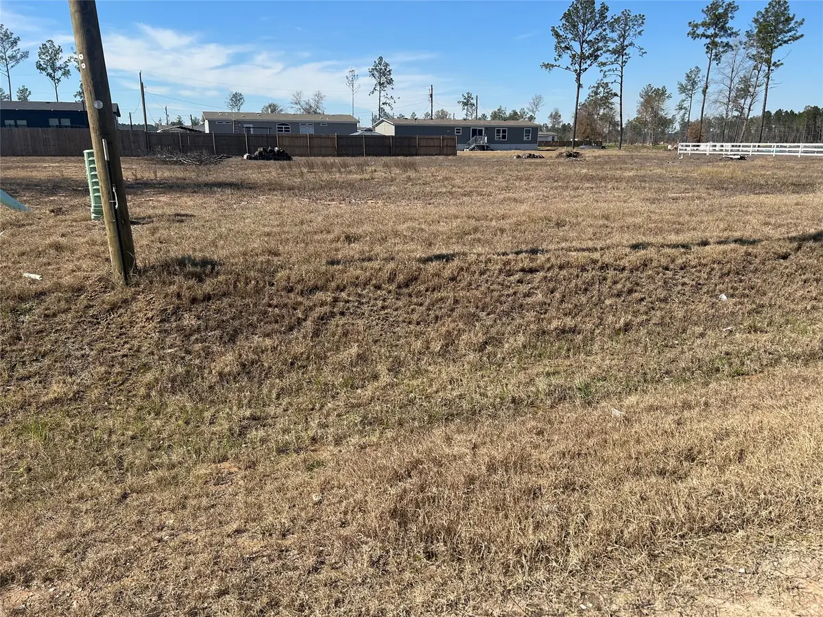 12244 Truchard Drive, Conroe, TX 77306 - Image #1