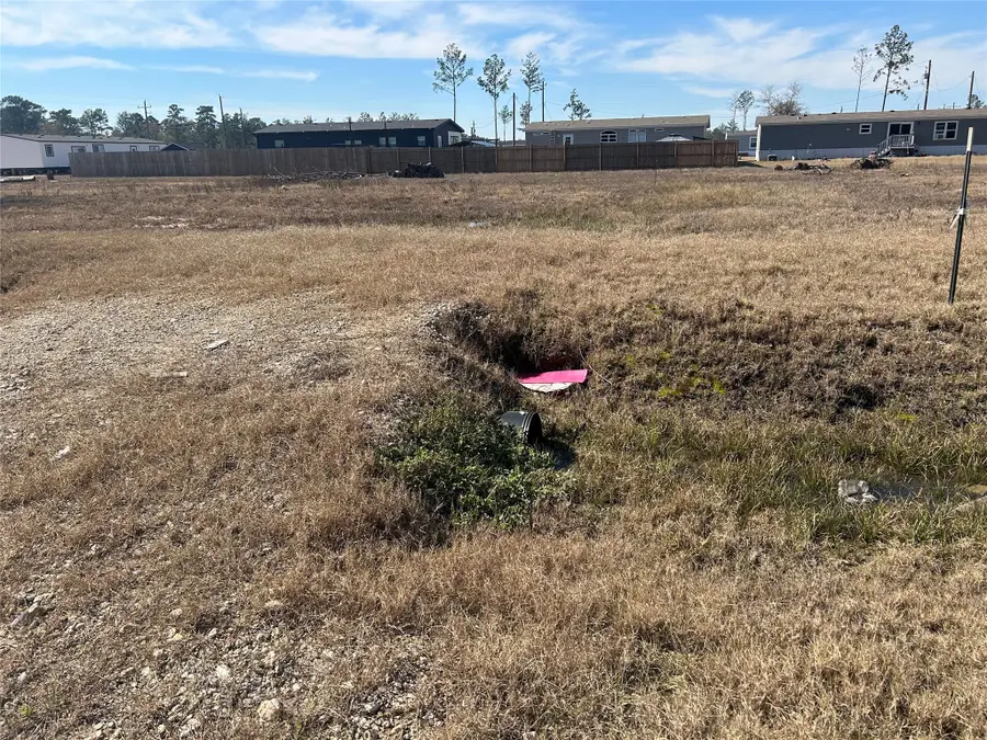 12244 Truchard Drive, Conroe, TX 77306 - Image #2