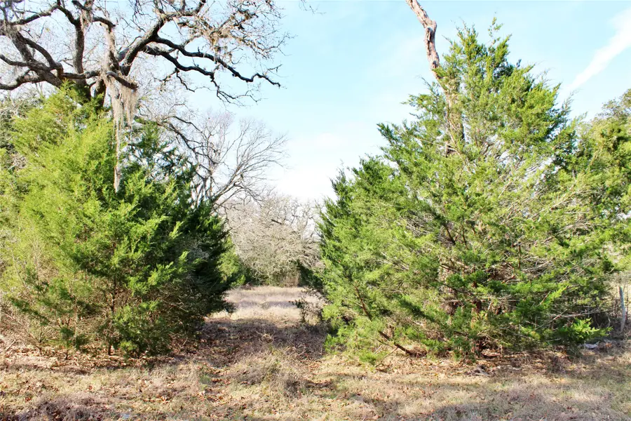 Parcel 4 Lobo Lane, Columbus, TX 78934 - Image #2