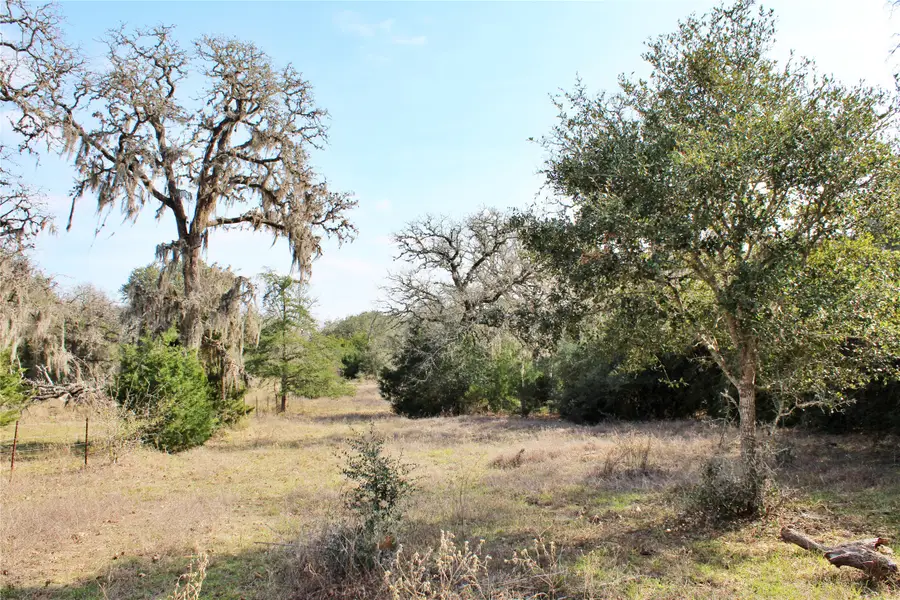 Parcel 4 Lobo Lane, Columbus, TX 78934 - Image #3