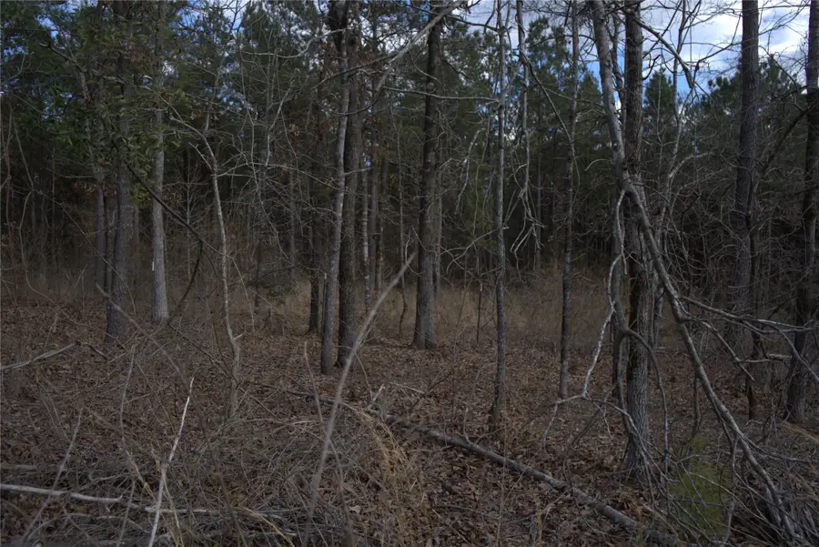 TBD County Road 3503 Road, Jefferson, TX 75657 - #2