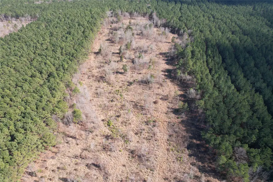 TBD County Road 3503 Road, Jefferson, TX 75657 - #3