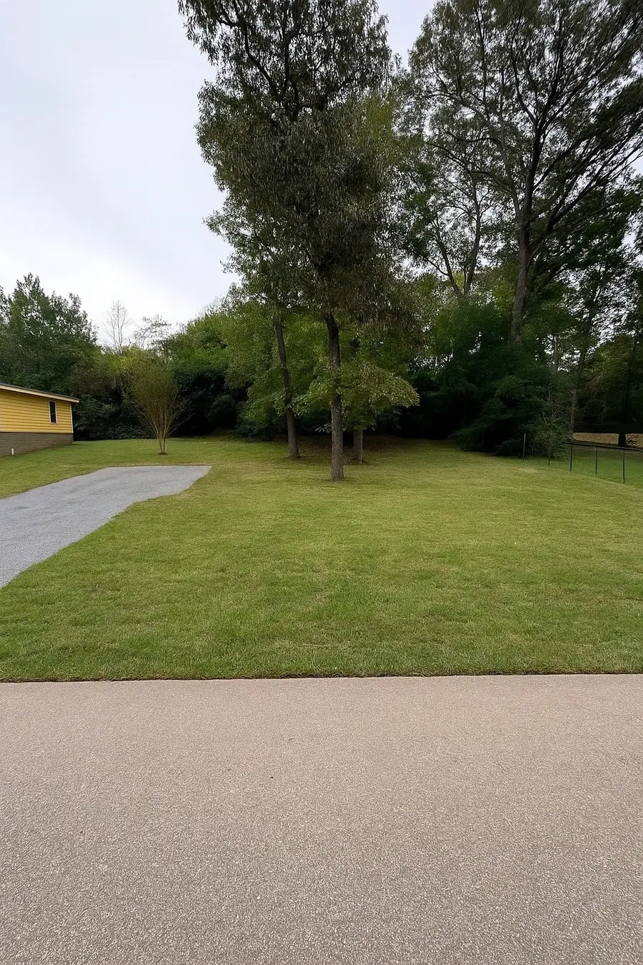 (.25 ac) 601 Faulkner Avenue, Coldspring, TX 77331 - #2