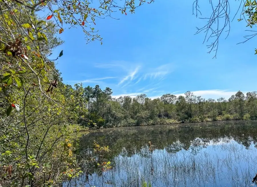 1 Fm 1003, Kountze, TX 77625 - Image #2