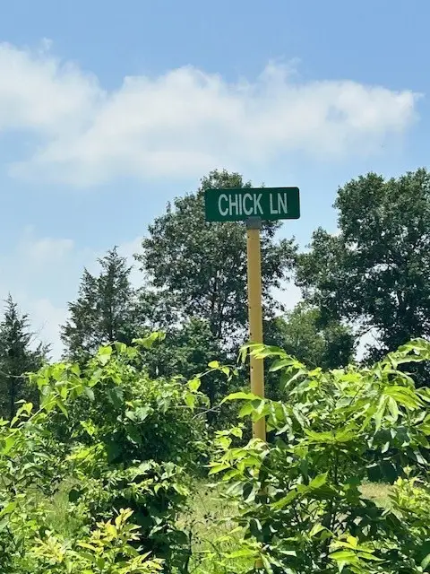 16133 Chick Lane, Montgomery, TX 77356