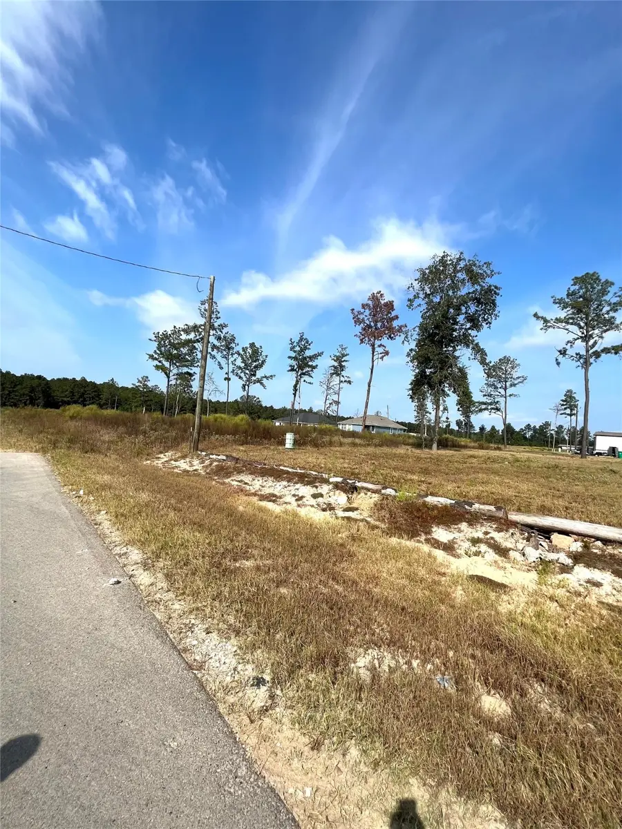 18429 Novarra Drive, Conroe, TX 77306 - Image #2