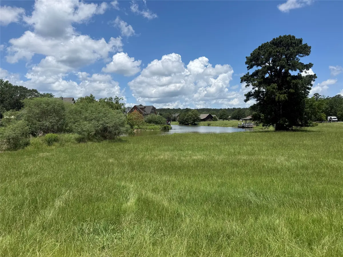 4 Wild Iris Court, Huntsville, TX 77340 - #1