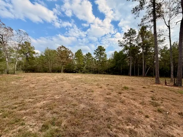 7629 Trinity Pines Drive, Montgomery, TX 77316