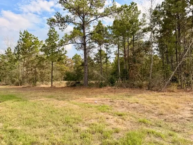 7629 Trinity Pines Drive, Montgomery, TX 77316 - Image #2