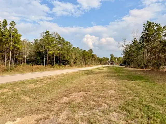 7629 Trinity Pines Drive, Montgomery, TX 77316 - Image #3