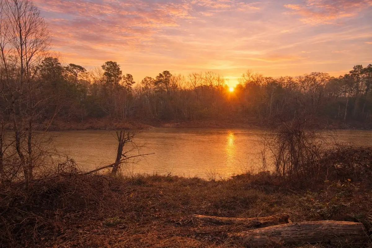 274 County Road 3945, Colmesneil, TX 75938 - Image #1