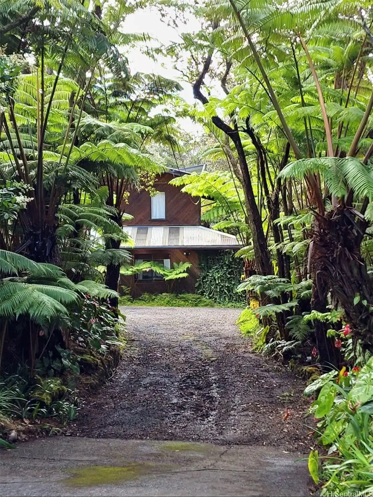 11-3832 2nd Street, Volcano, HI 96785 - #1