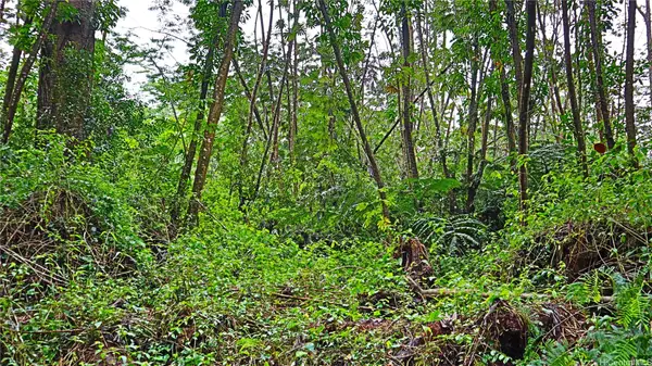 0 Ginger Road, Pahoa, HI 96778