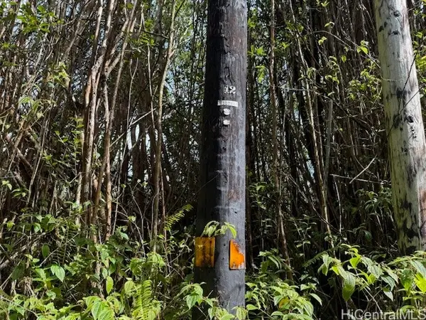 17-3352 Maunalani Road, Mountain View, HI 96771