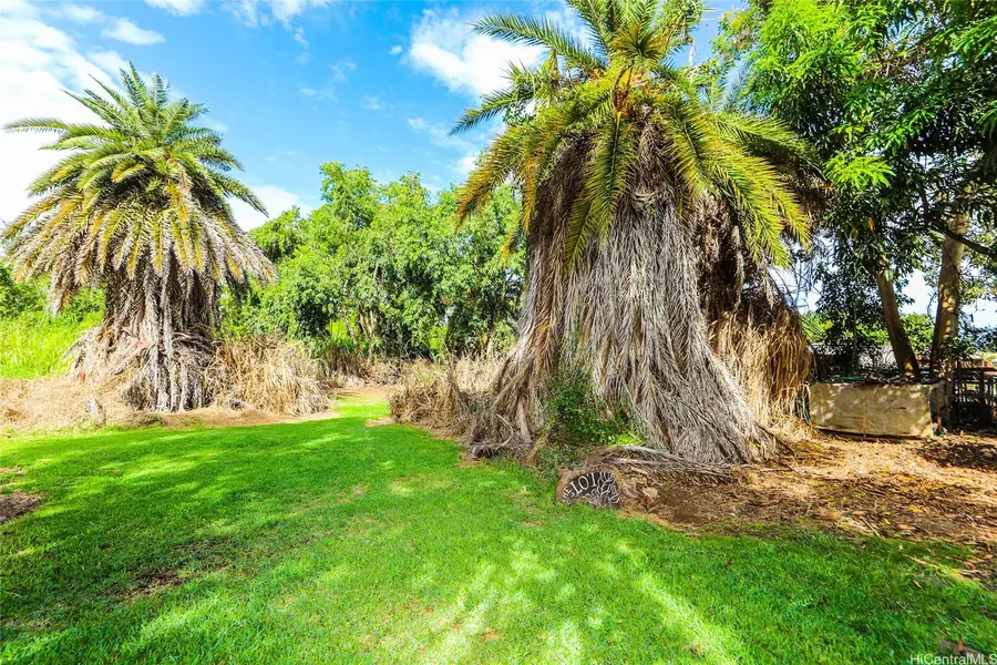 66-193 Kamehameha Highway, Haleiwa, HI 96712 - Image #3