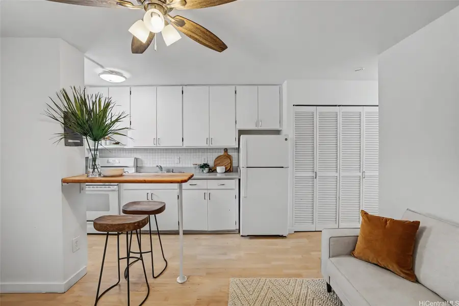 1036 Green Street #205, Honolulu, HI 96822 - #3