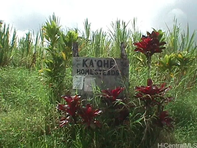 0000 North Road, Pahoa, HI 96778 - #2