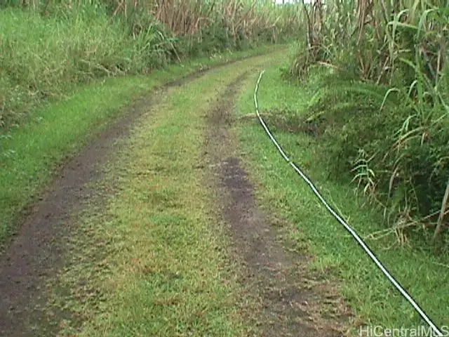 0000 North Road, Pahoa, HI 96778 - #3