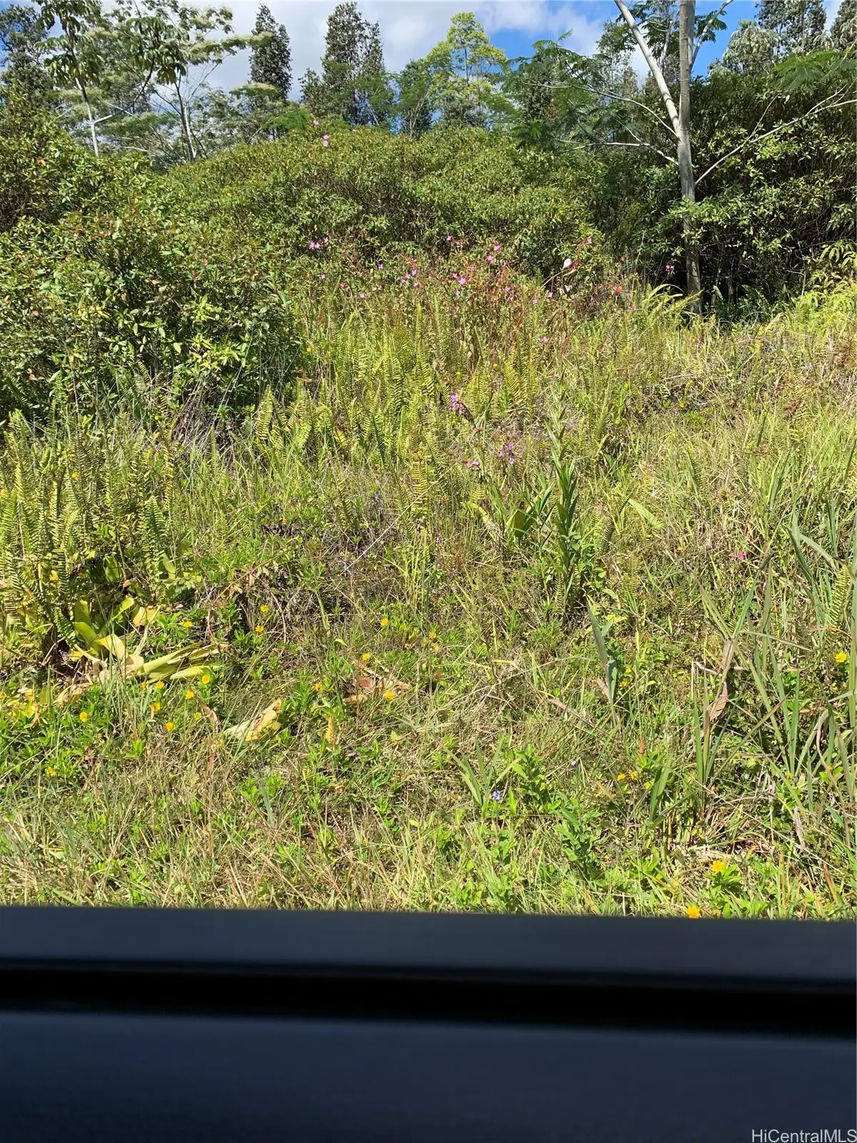 0000 37th Avenue, Keaau, HI 96749 - #1