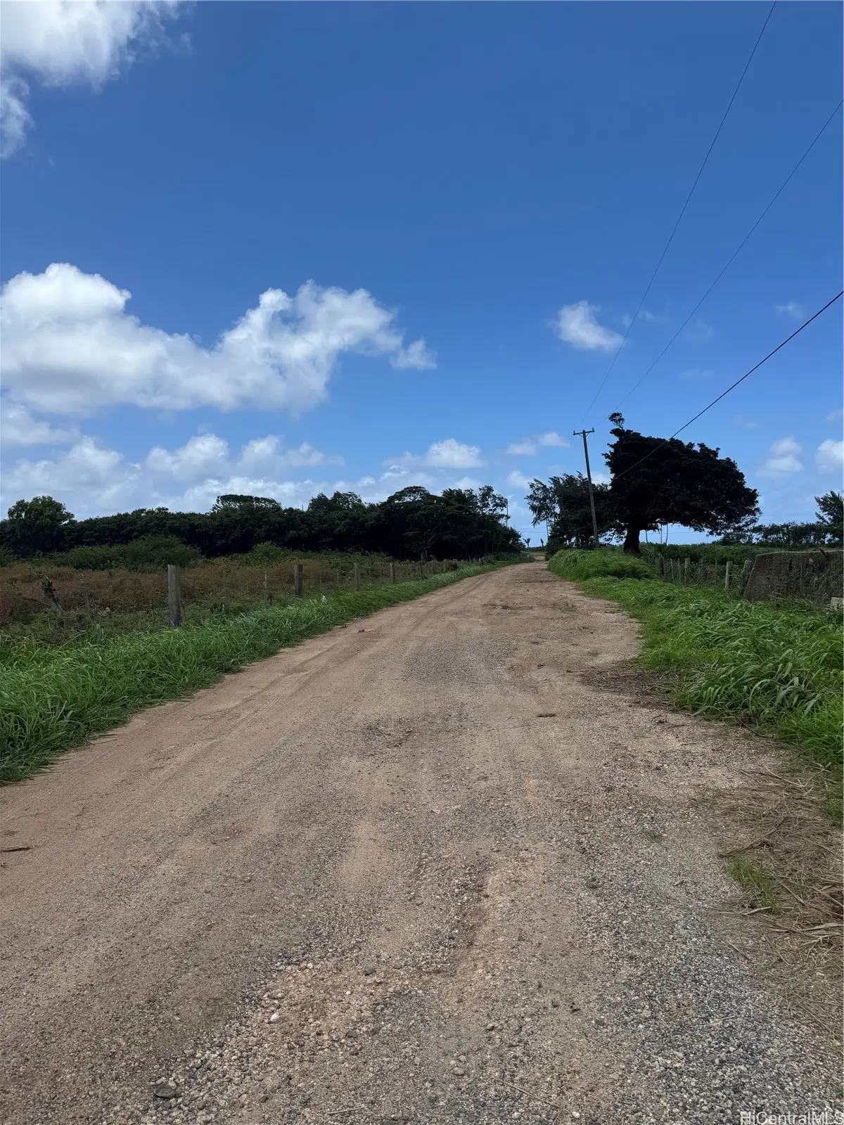58 Kamehameha Highway, Haleiwa, HI 96712 - #1