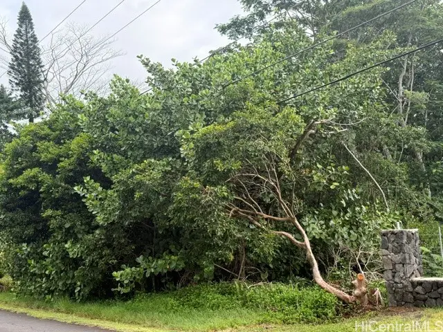 15-611 Beach Road, Keaau, HI 96749 - #2