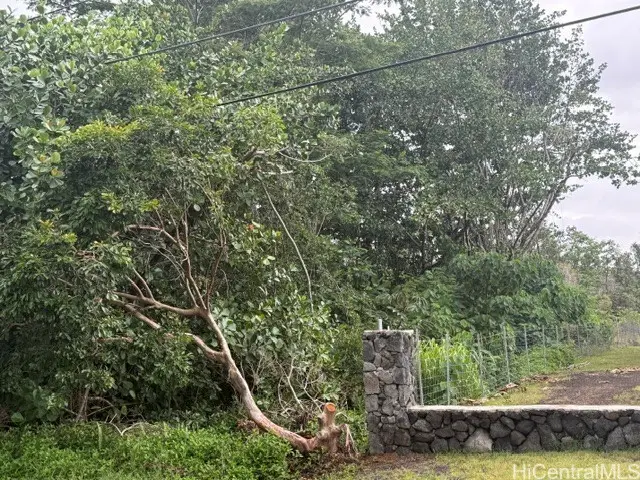 15-611 Beach Road, Keaau, HI 96749 - #3