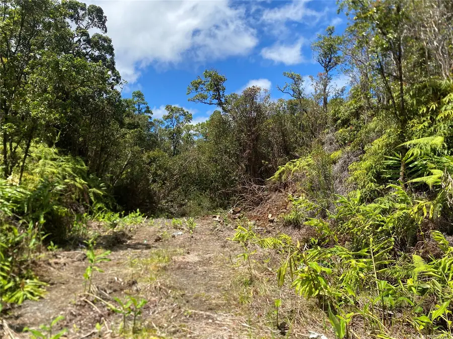 0 Road 10 Road, Volcano, HI 96785 - #2