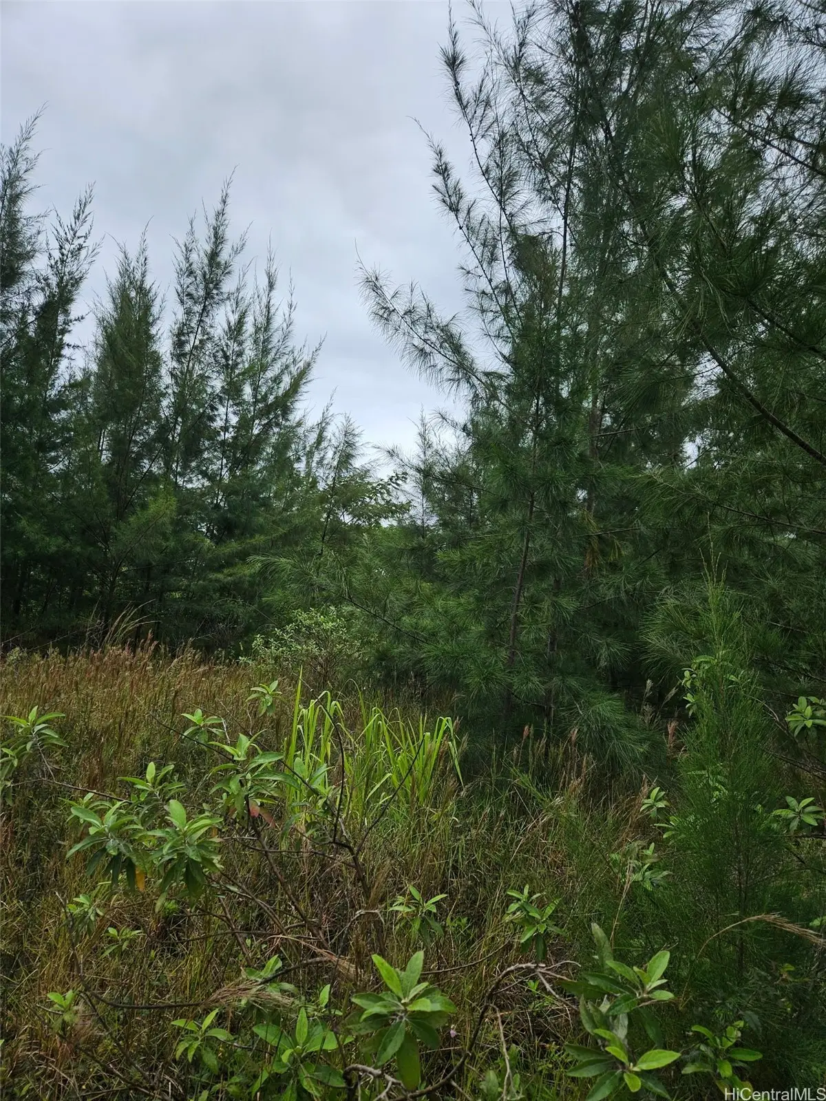 lot 2782 2nd Avenue #2782, Keaau, HI 96749 - #1