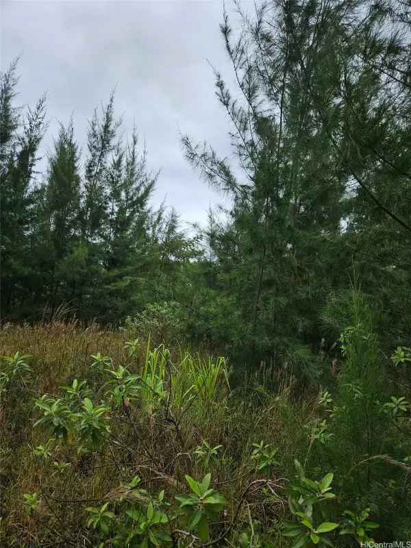 lot 2782 2nd Avenue #2782, Keaau, HI 96749