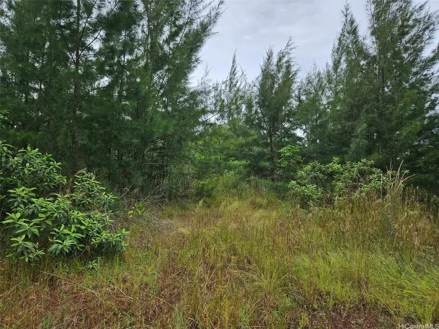 lot 2782 2nd Avenue #2782, Keaau, HI 96749 - #3
