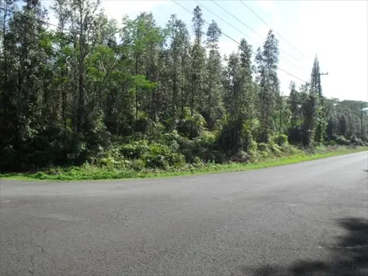 Plumeria Rd, Pahoa, HI 96778 - Image #2