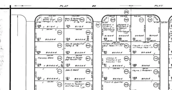 Plumeria Rd, Pahoa, HI 96778 - Image #3