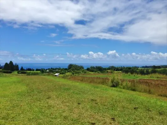 Kaiwiki Homestead Rd, Hakalau, HI 96710