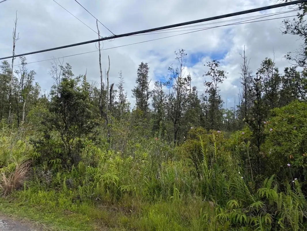 37th Ave, Kurtistown, HI 96760 - #1