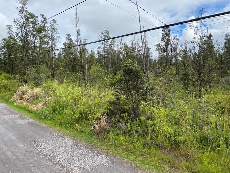 37th Ave, Kurtistown, HI 96760 - #3