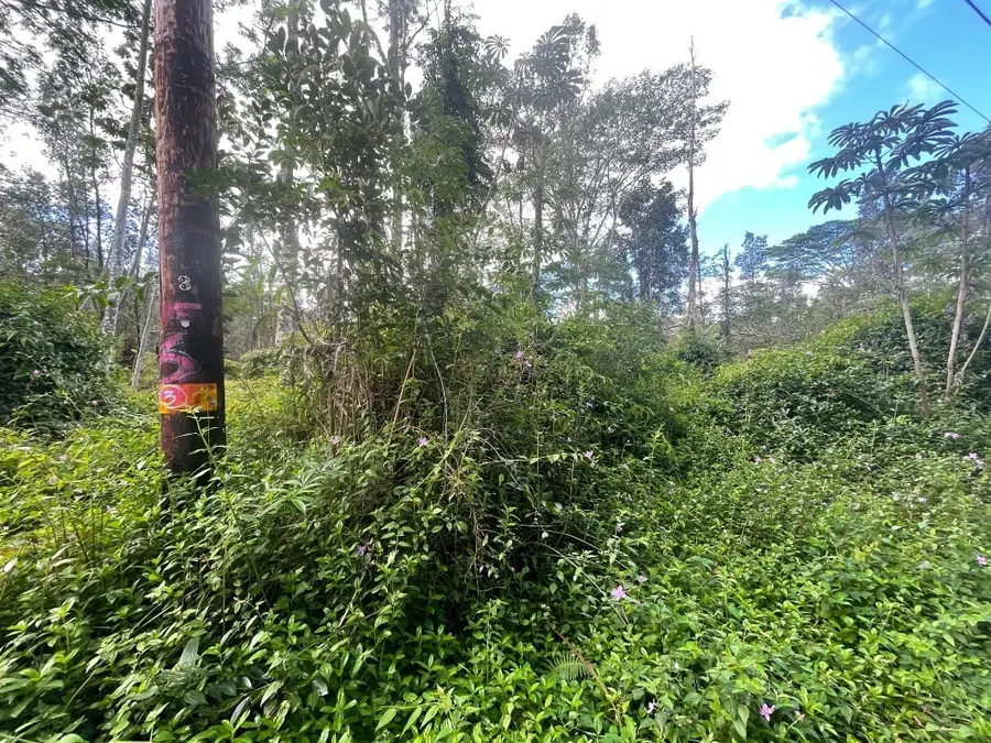 Seadrift Rd, Pahoa, HI 96778 - Image #3