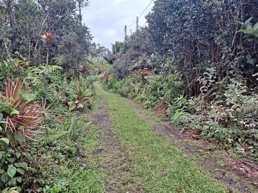 13-1103 Malama St, Pahoa, HI 96778 - #3