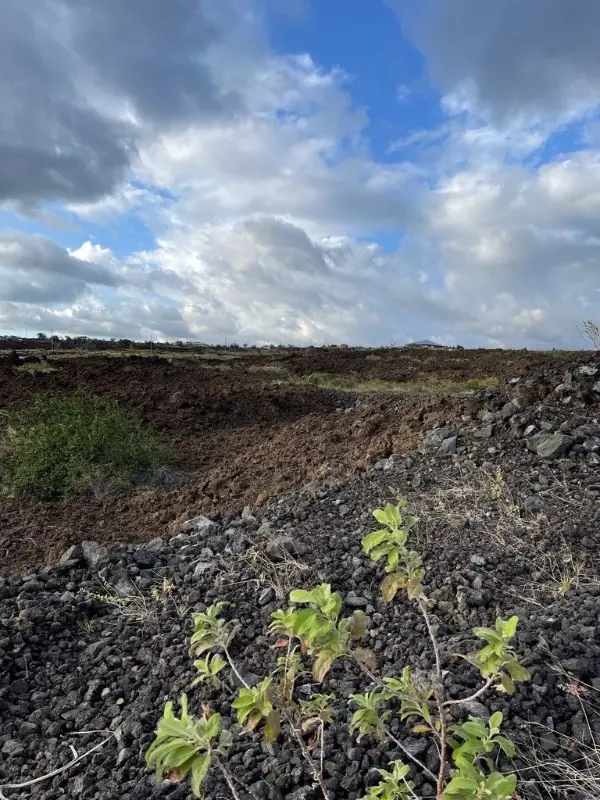 Alii Blvd, Ocean View, HI 96737