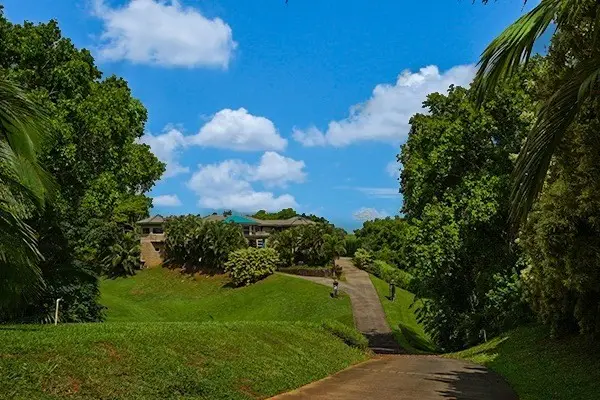4700 Kapuna Rd, Kilauea, HI 96722 - #3